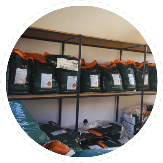 Krmiva Afeed pro drůbež, prasata, králíky, ovce i kozy